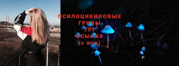 соль ск Армянск