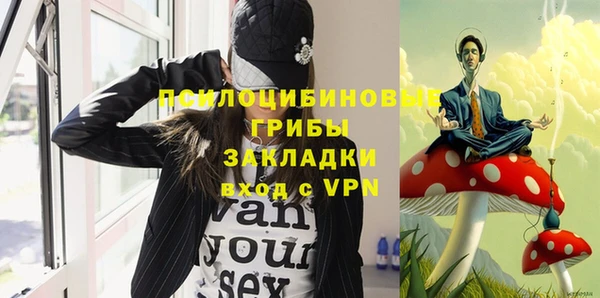 прущие крисы Арсеньев