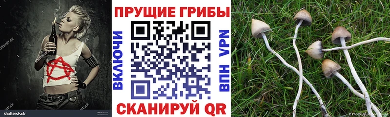 Псилоцибиновые грибы мухоморы  Купить где  Бабушкин 