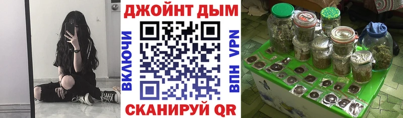 Каннабис план Бабушкин